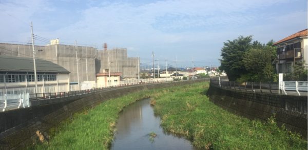 新清水橋からの風景