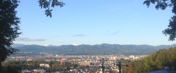 工学院大学裏山より