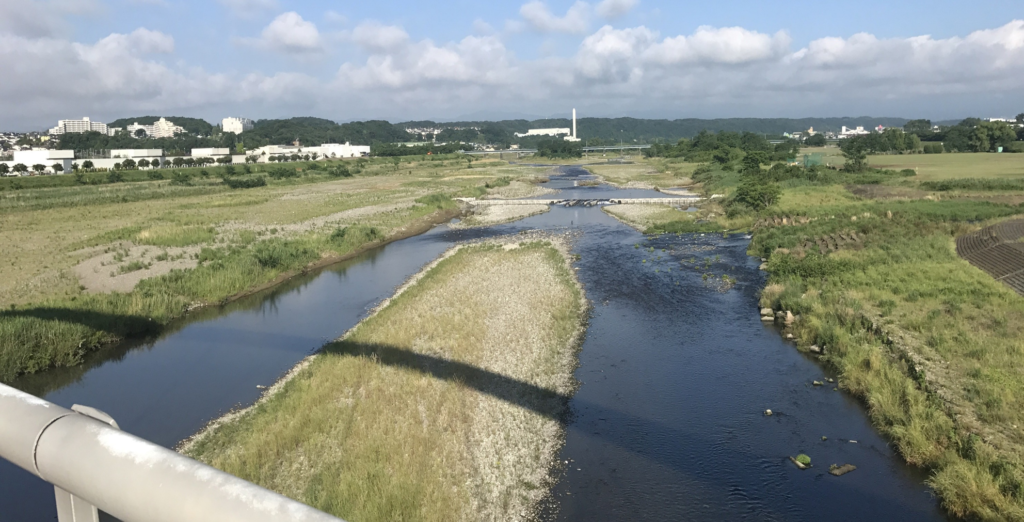 多摩川　くじら運動公園方面を望む