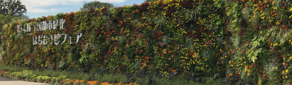 緑化フェアの玄関口　高さ3mの花の壁