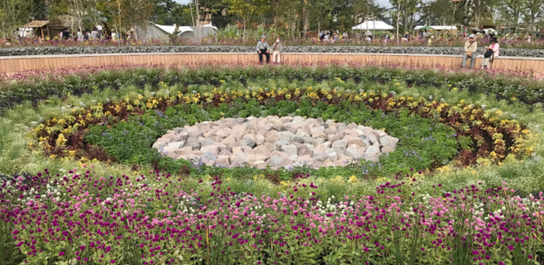 ミステリーサークルならぬフラワーサークル⁇