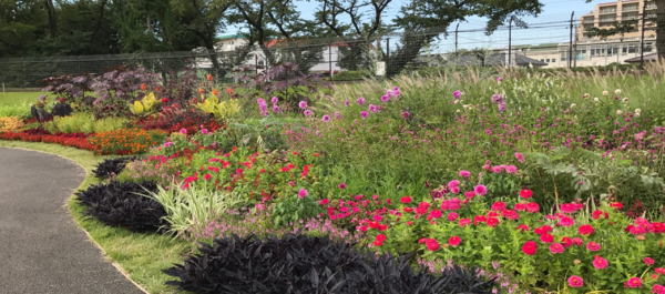 あったらいいなぁが眼前に・・花の散歩道