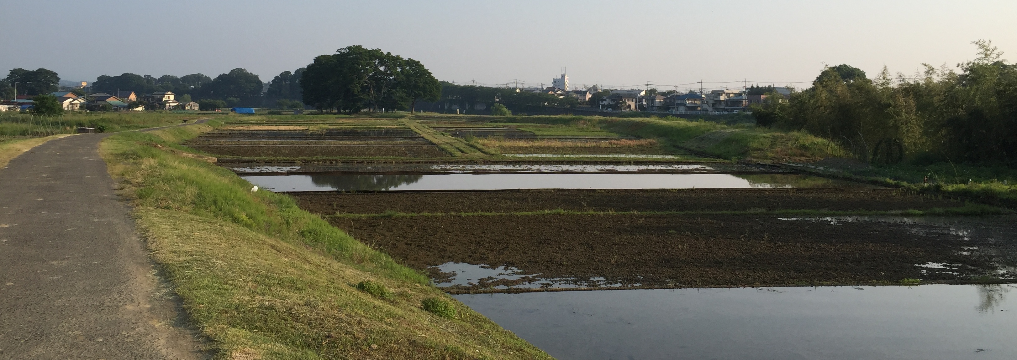 田植え前の水張り（高月地区にて）