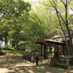 森の喫茶店？管理事務所