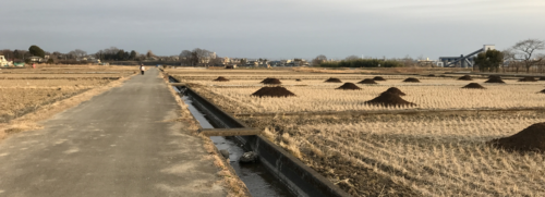 冬枯れの高月浄水所より