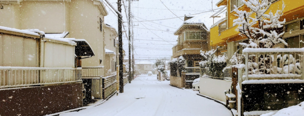 4年ぶりの大雪