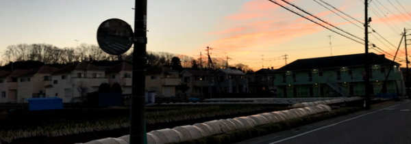 3月の夜明け　春間近