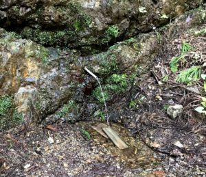 醍醐林道と湧き水