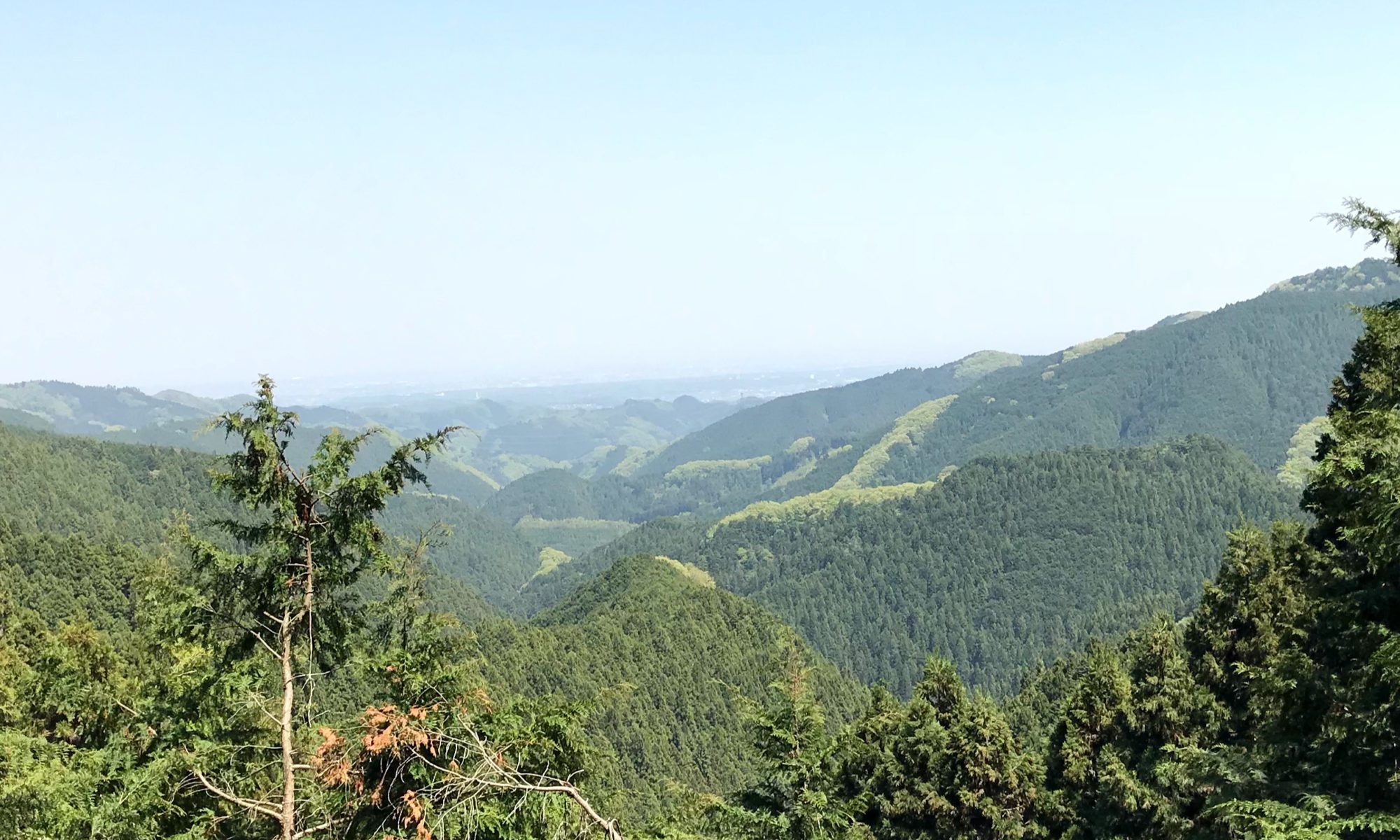 陣馬山中腹から八王子を望む