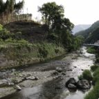 名栗渓谷より上流を眺める