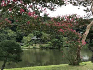 三渓園：百日紅の先に小島