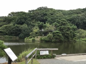 三渓園：池に浮かぶ小島