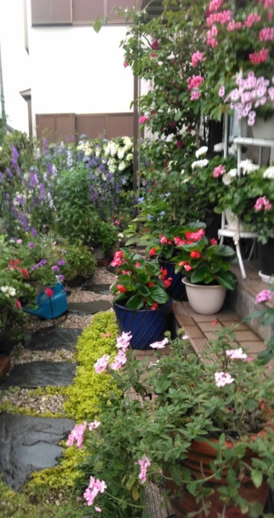 花咲き誇る新開さん宅