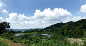 自然との調和・北浅川