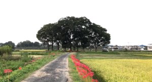 高月 浄水処理場から