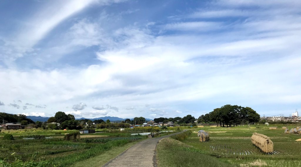 実りの秋・遠くに御岳山_高月