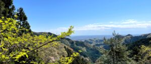 刈寄山からの八王子市街