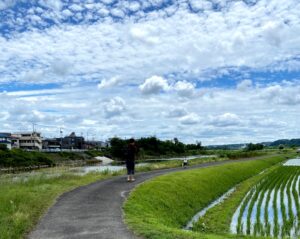 6月、高月の田園風景