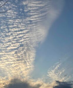 夕日に染まる巻層雲
