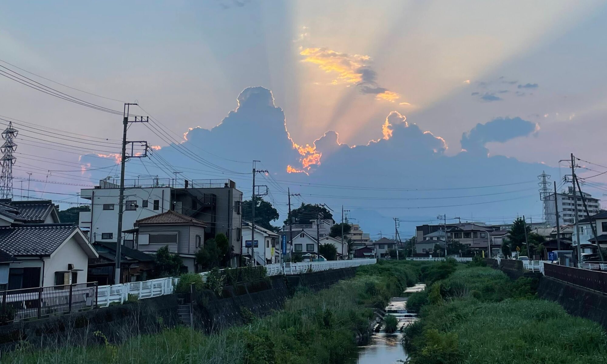 大自然、梅雨明けの一瞬のきらめき
