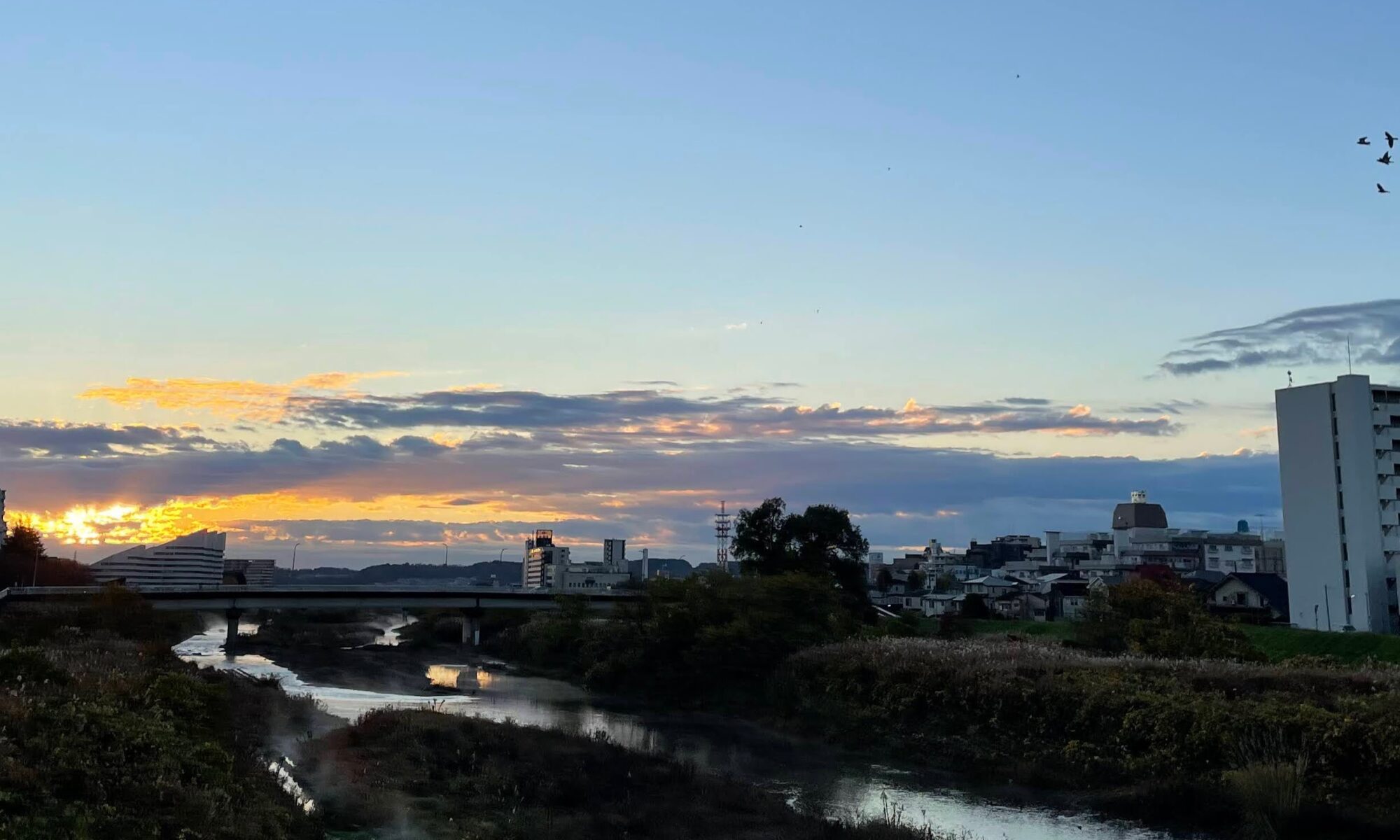 浅川の遅い夜明け