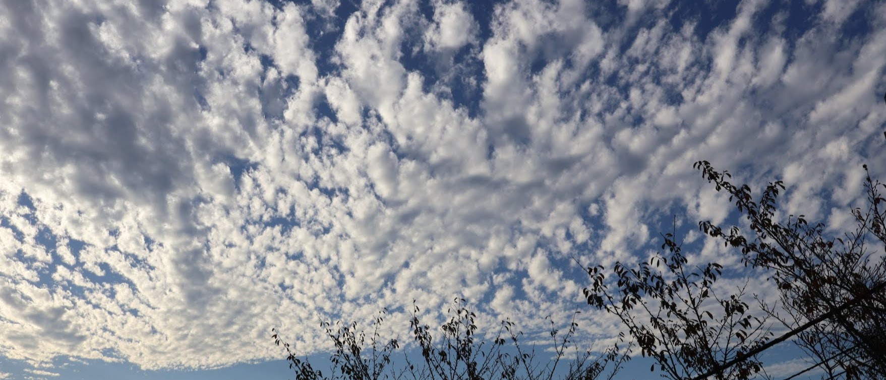 冬隣に押し寄せる巻積雲